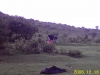 RECO0072.JPG