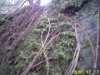RECO0163.JPG