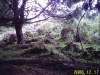 RECO0165.JPG