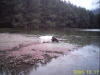 RECO0179.JPG