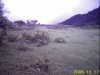RECO0190.JPG