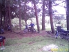 RECO0195.JPG