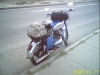 RECO0283.JPG
