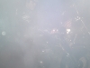 06032010065