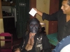 DSC00060